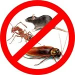 PESTS - LOGO00.jpg