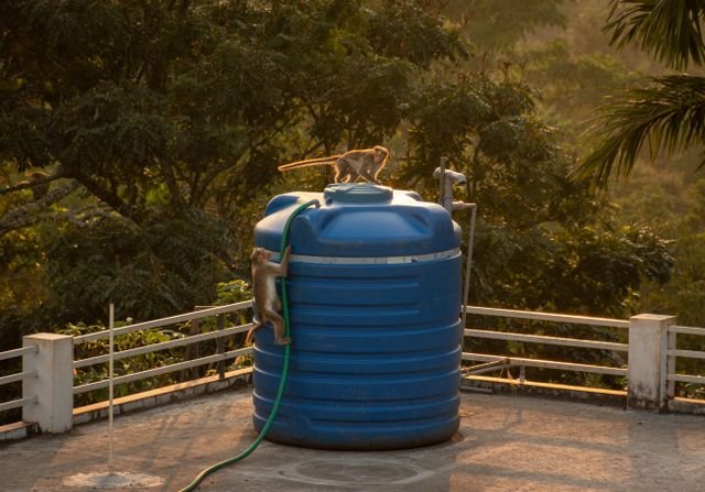 Why Water Tank Cleaning and Treatment Is Important for Safe Drinking Water
