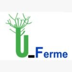 live logo 7